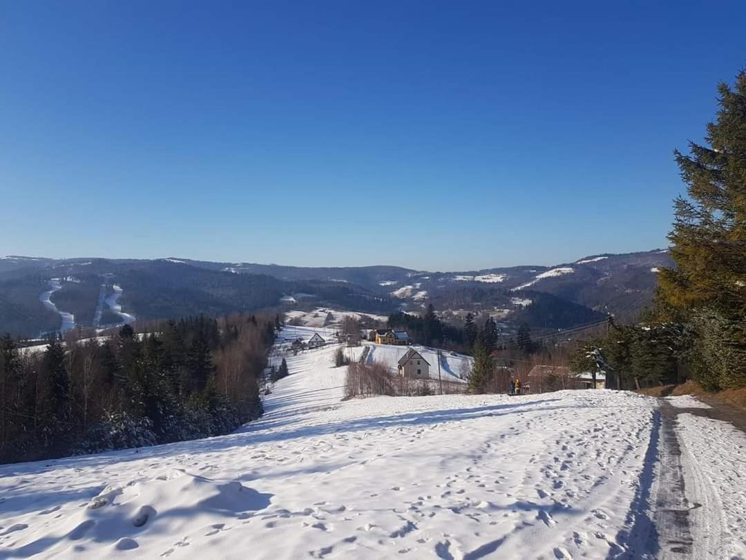 Pokoje Goscinne Angelika Wisła Dış mekan fotoğraf